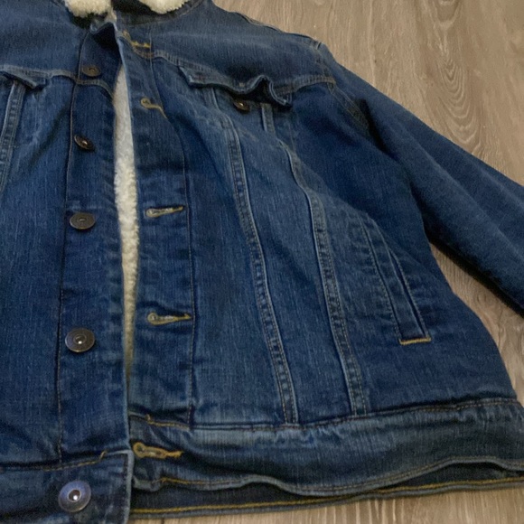 Blue Jacket - Picture 4 of 4